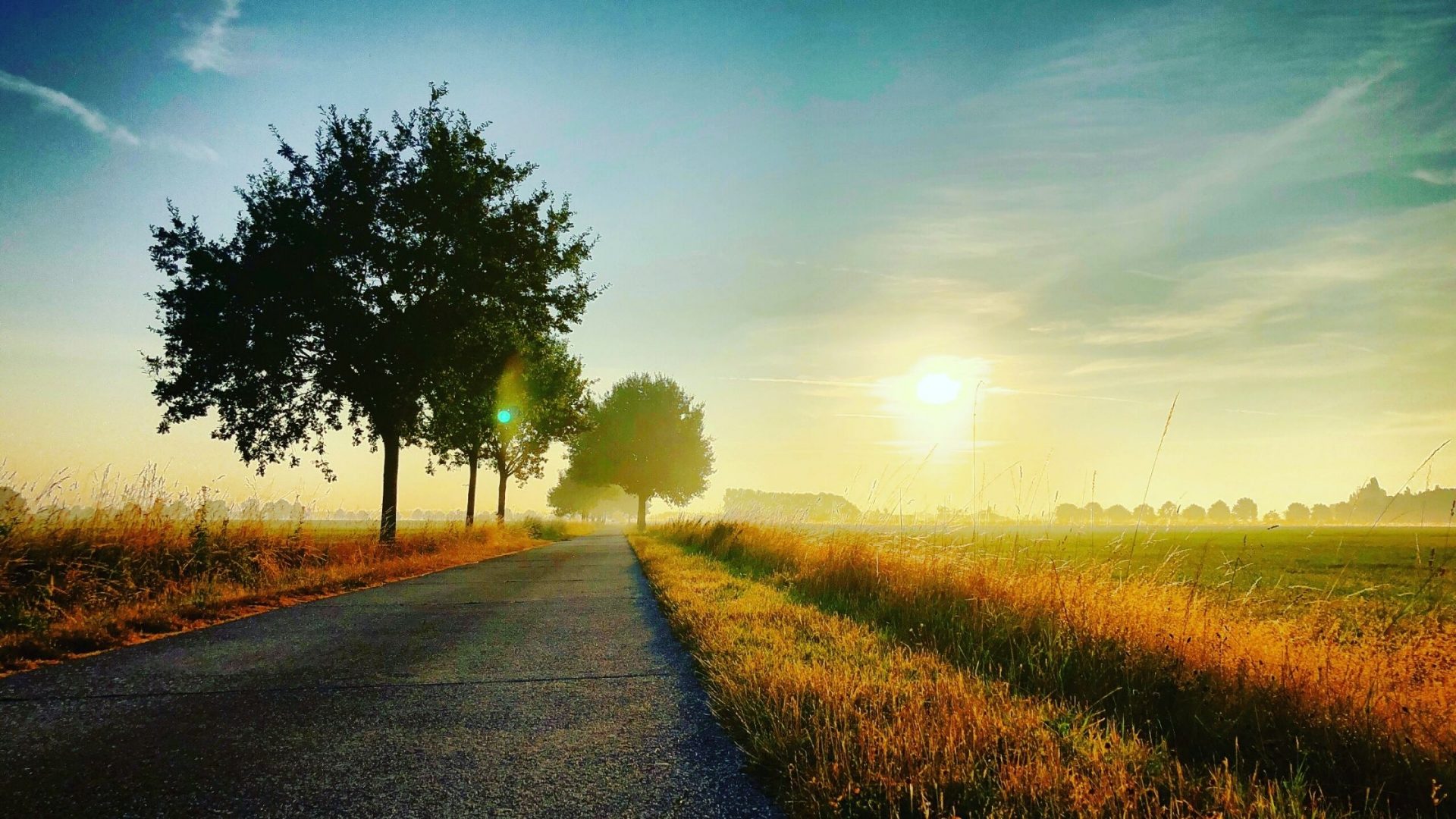 Research The Rules And Laws For The Country You Plan To Visit