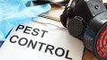 Motorhome Pest control - How to Get Rid of Unwanted Bugs & Vermin?