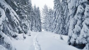 More Tips On Motorhoming In The Winter