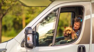 What Are the Key Legal and Regulatory Aspects of Motorhoming with a Dog?